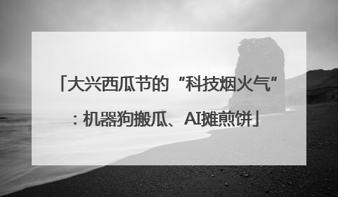 大兴西瓜节的“科技烟火气”：机器狗搬瓜、AI摊煎饼