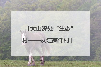 大山深处“生态”村——从江高仟村