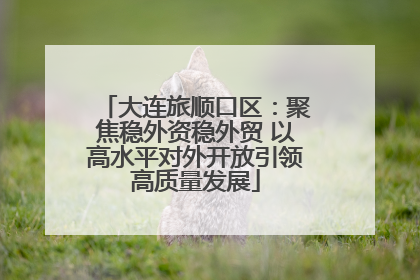 大连旅顺口区：聚焦稳外资稳外贸 以高水平对外开放引领高质量发展