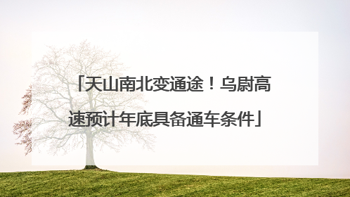 天山南北变通途！乌尉高速预计年底具备通车条件