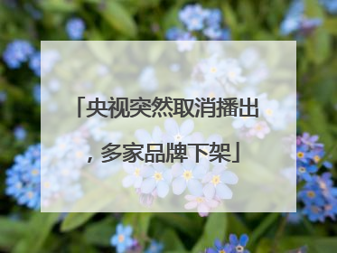 央视突然取消播出，多家品牌下架
