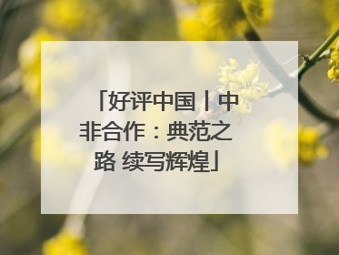 好评中国丨中非合作：典范之路 续写辉煌