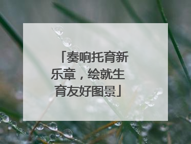 奏响托育新乐章，绘就生育友好图景