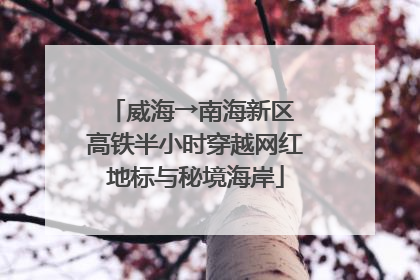 威海→南海新区 高铁半小时穿越网红地标与秘境海岸