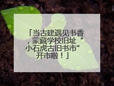 当古建遇见书香，蒙藏学校旧址“小石虎古旧书市”开市啦！