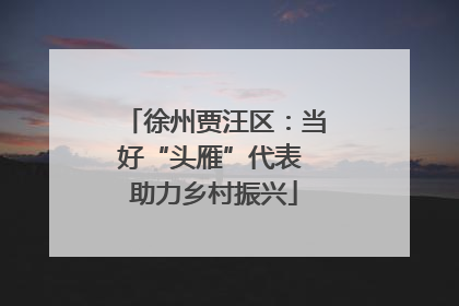 徐州贾汪区：当好“头雁”代表 助力乡村振兴