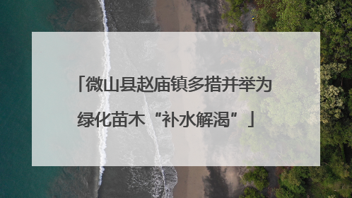 微山县赵庙镇多措并举为绿化苗木“补水解渴”