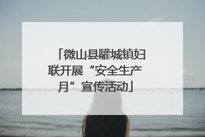 微山县驩城镇妇联开展“安全生产月”宣传活动