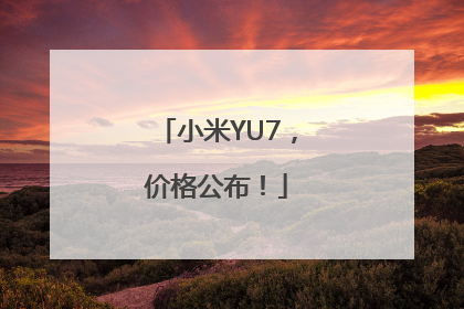 小米YU7，价格公布！