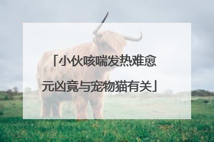 小伙咳喘发热难愈 元凶竟与宠物猫有关
