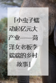 小虫子蠕动起亿元大产业——菏泽女老板李端端的乡村故事