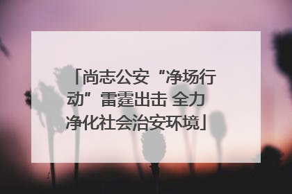 尚志公安“净场行动”雷霆出击 全力净化社会治安环境