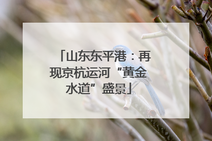 山东东平港：再现京杭运河“黄金水道”盛景