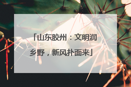 山东胶州：文明润乡野，新风扑面来