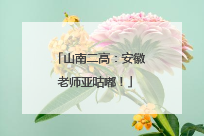 山南二高：安徽老师亚咕嘟！