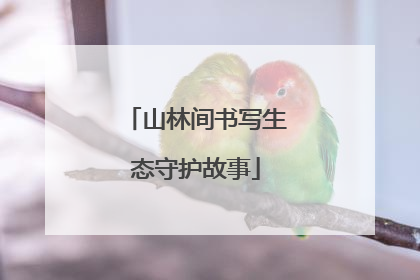 山林间书写生态守护故事