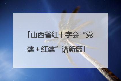 山西省红十字会“党建＋红建”谱新篇