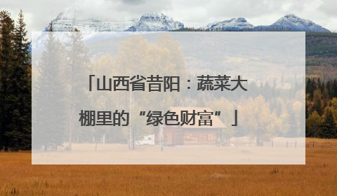 山西省昔阳：蔬菜大棚里的“绿色财富”