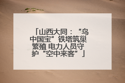 山西大同：“鸟中国宝”铁塔筑巢繁殖 电力人员守护“空中来客”