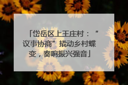 岱岳区上王庄村：“议事协商”撬动乡村蝶变，奏响振兴强音