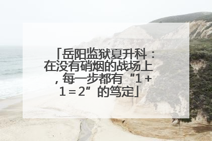 岳阳监狱夏升科：在没有硝烟的战场上，每一步都有“1＋1＝2”的笃定