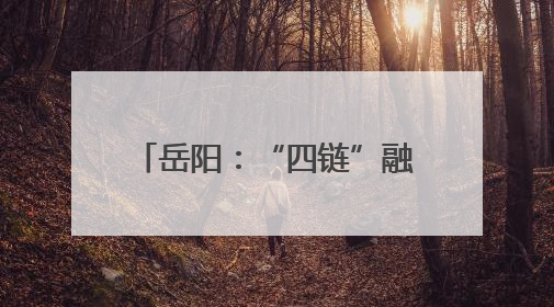 岳阳：“四链”融合 铺就高校毕业生就业创业通途