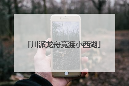 川派龙舟竞渡小西湖