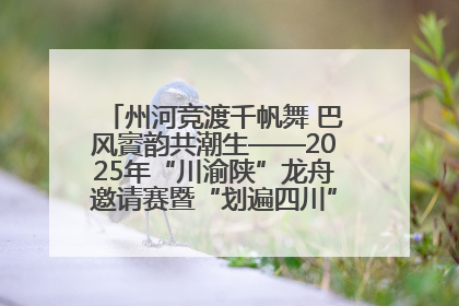 州河竞渡千帆舞 巴风賨韵共潮生——2025年“川渝陕”龙舟邀请赛暨“划遍四川”达川站圆满收官