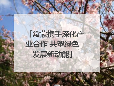 常蒙携手深化产业合作 共塑绿色发展新动能