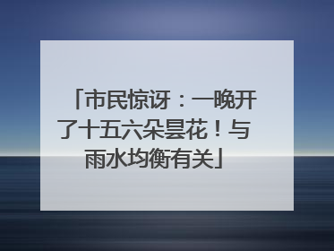 市民惊讶：一晚开了十五六朵昙花！与雨水均衡有关