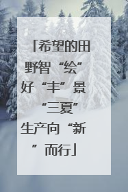 希望的田野智“绘”好“丰”景 “三夏”生产向“新”而行