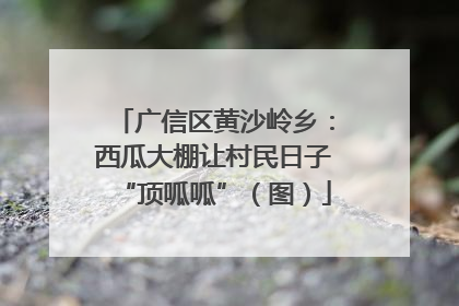 广信区黄沙岭乡：西瓜大棚让村民日子“顶呱呱”（图）