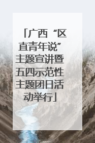 广西“区直青年说”主题宣讲暨五四示范性主题团日活动举行