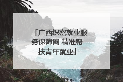 广西织密就业服务保障网 精准帮扶青年就业