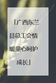 广西东兰县总工会情暖童心呵护成长