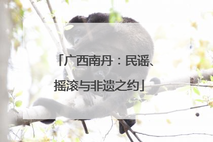 广西南丹：民谣、摇滚与非遗之约