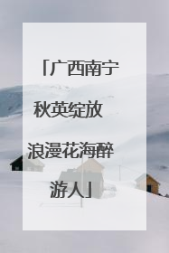 广西南宁秋英绽放 浪漫花海醉游人