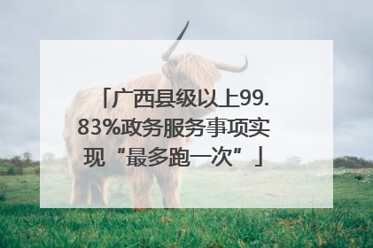 广西县级以上99.83%政务服务事项实现“最多跑一次”