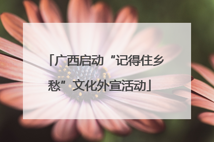 广西启动“记得住乡愁”文化外宣活动