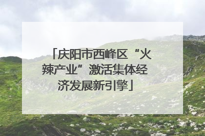 庆阳市西峰区“火辣产业”激活集体经济发展新引擎
