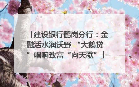 建设银行鹤岗分行：金融活水润沃野 “大鹅贷”唱响致富“向天歌”