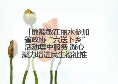 廉毅敏在丽水参加省政协“六送下乡”活动集中服务 凝心聚力增进民生福祉推进共同富裕
