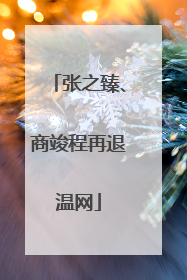 张之臻、商竣程再退温网