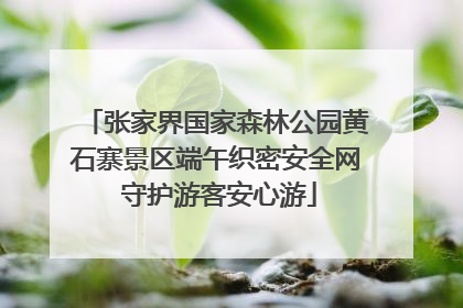 张家界国家森林公园黄石寨景区端午织密安全网 守护游客安心游