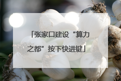 张家口建设“算力之都”按下快进键