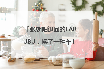 张朝阳退回的LABUBU，换了一辆车