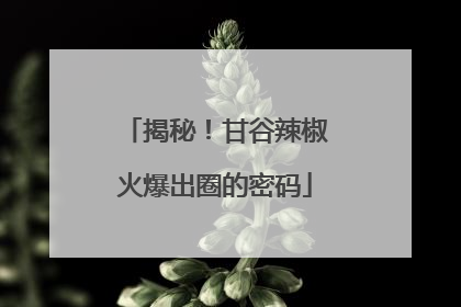 揭秘！甘谷辣椒火爆出圈的密码