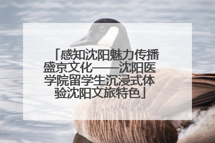 感知沈阳魅力传播盛京文化——沈阳医学院留学生沉浸式体验沈阳文旅特色