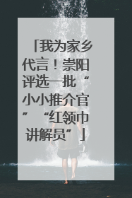 我为家乡代言！崇阳评选一批“小小推介官”“红领巾讲解员”