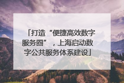 打造“便捷高效数字服务圈”，上海启动数字公共服务体系建设